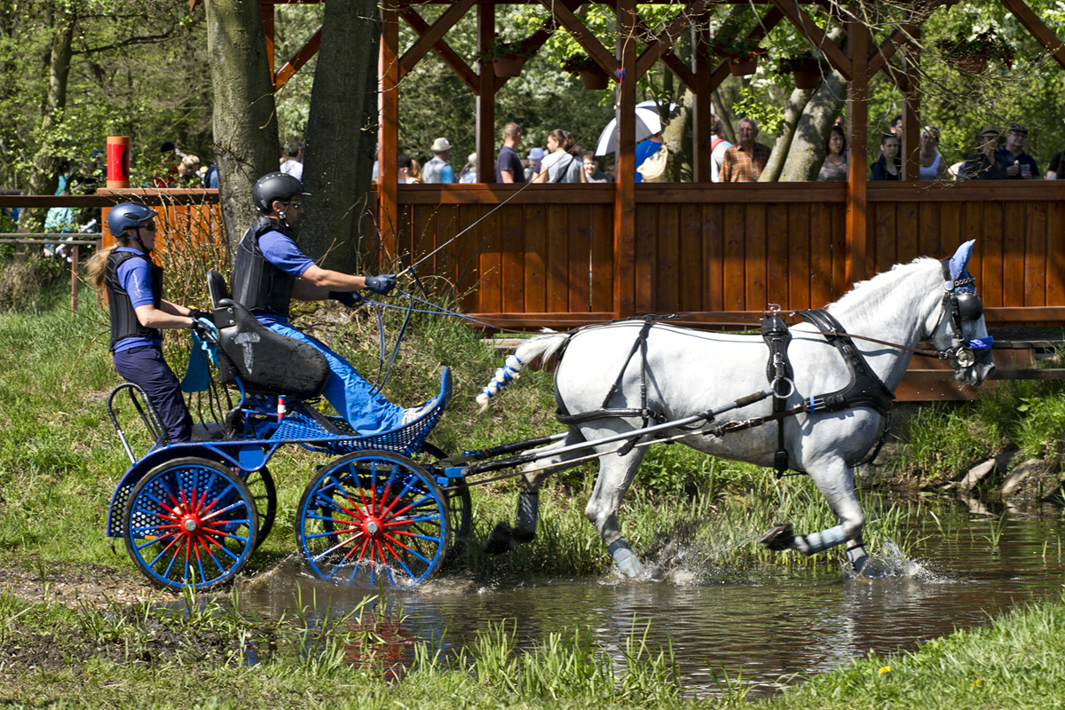 Rudolfův pohár IV