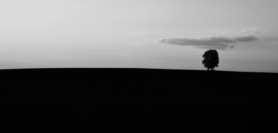 Zen II