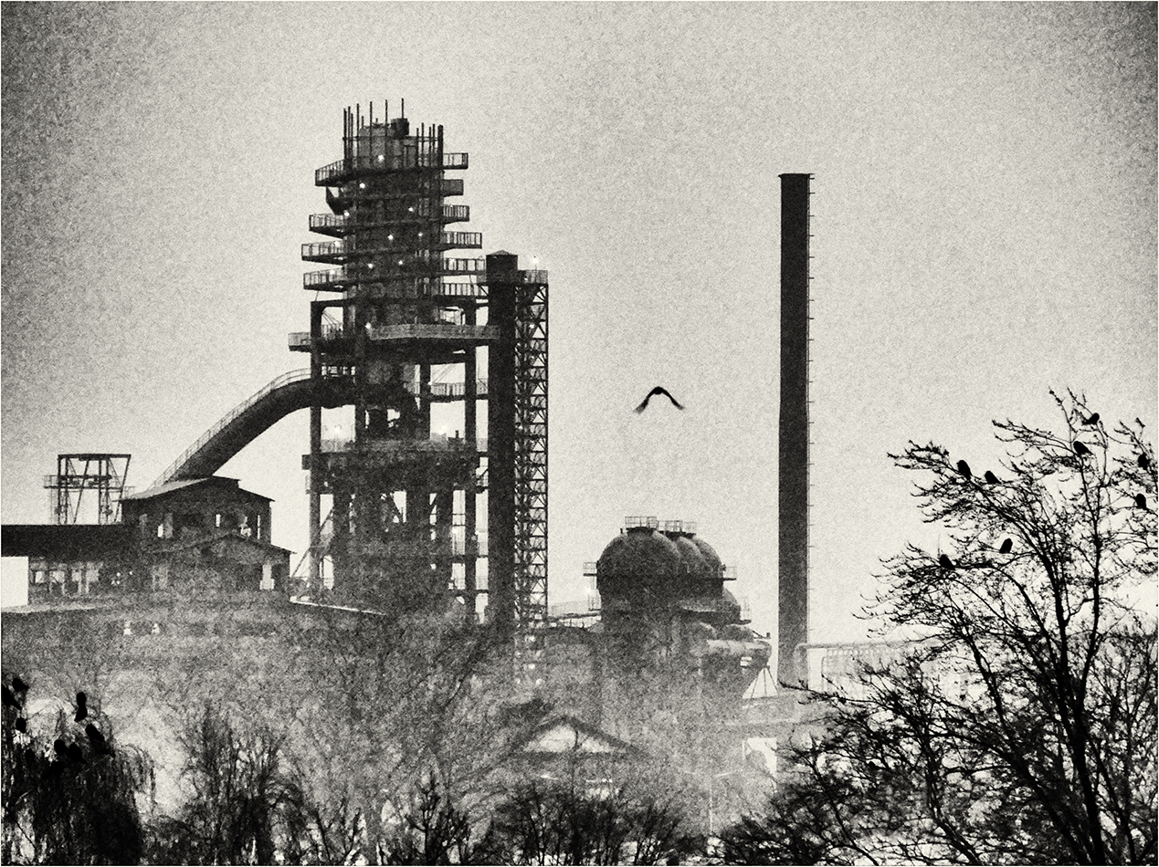 Bolt Tower aneb ranní ptáče