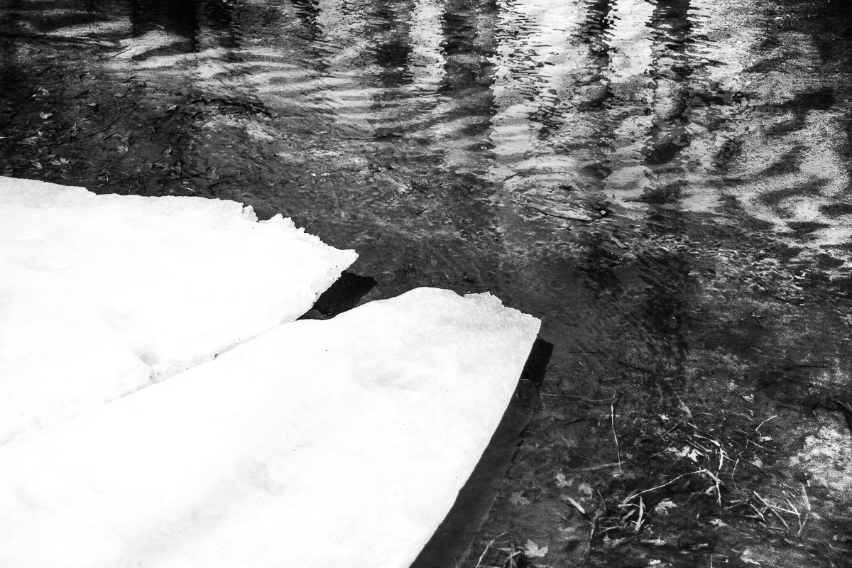 jarni surf