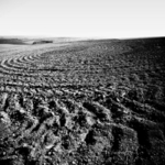 Blízká setkání..