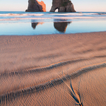 ... NEW ZEALAND ...