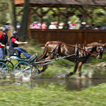 Rudolfův pohár II