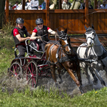 Rudolfův pohár III
