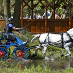 Rudolfův pohár IV