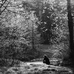 nálada podvečerní