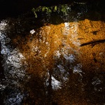 z tůní šumavských