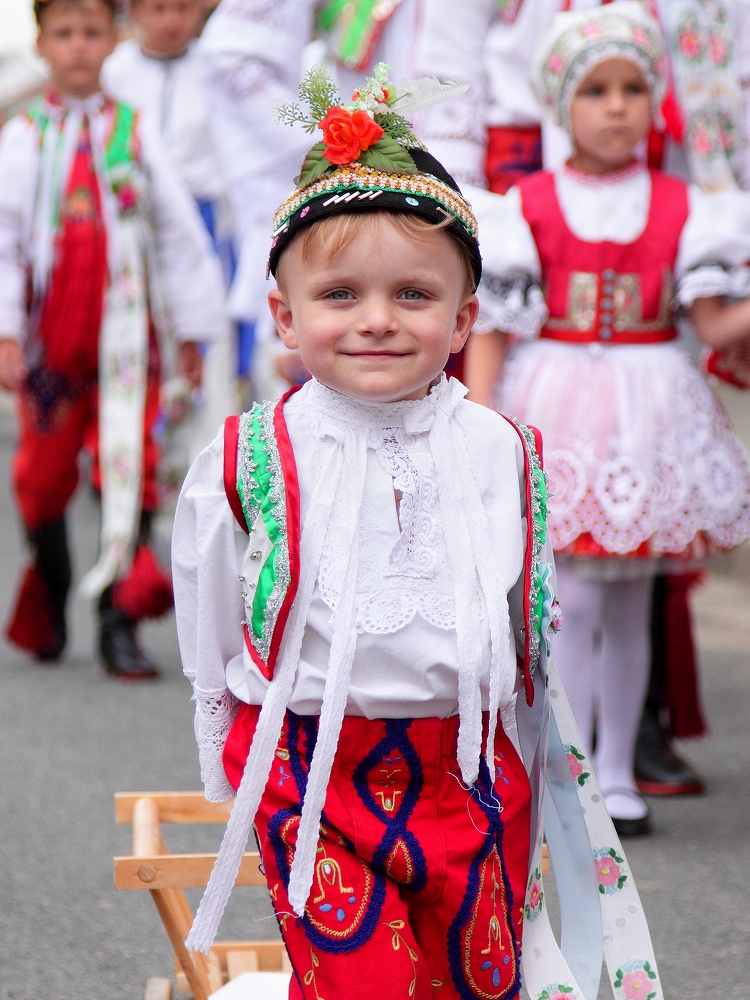 ogárek