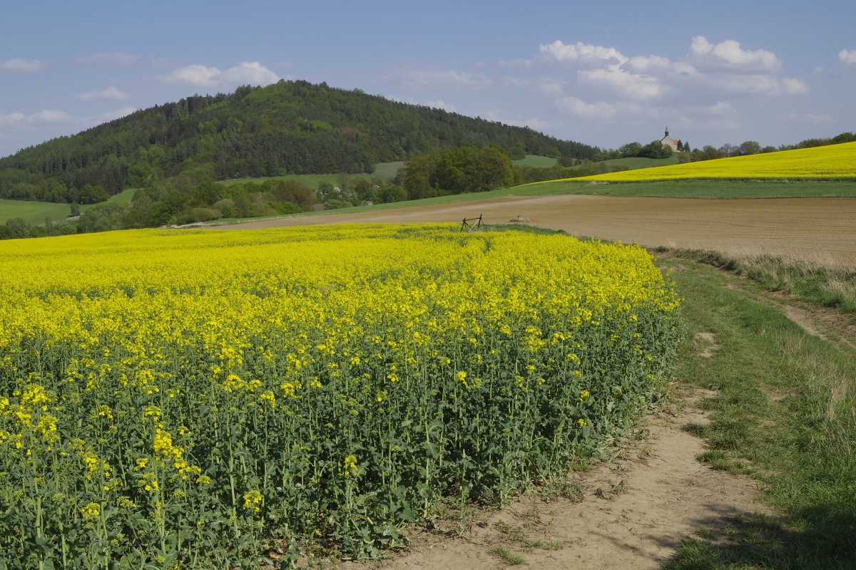Neštětická hora,Chvojínek