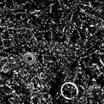 Bítešské špony B