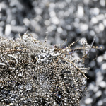 Bítešské špony A