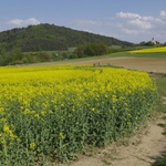 Neštětická hora,Chvojínek