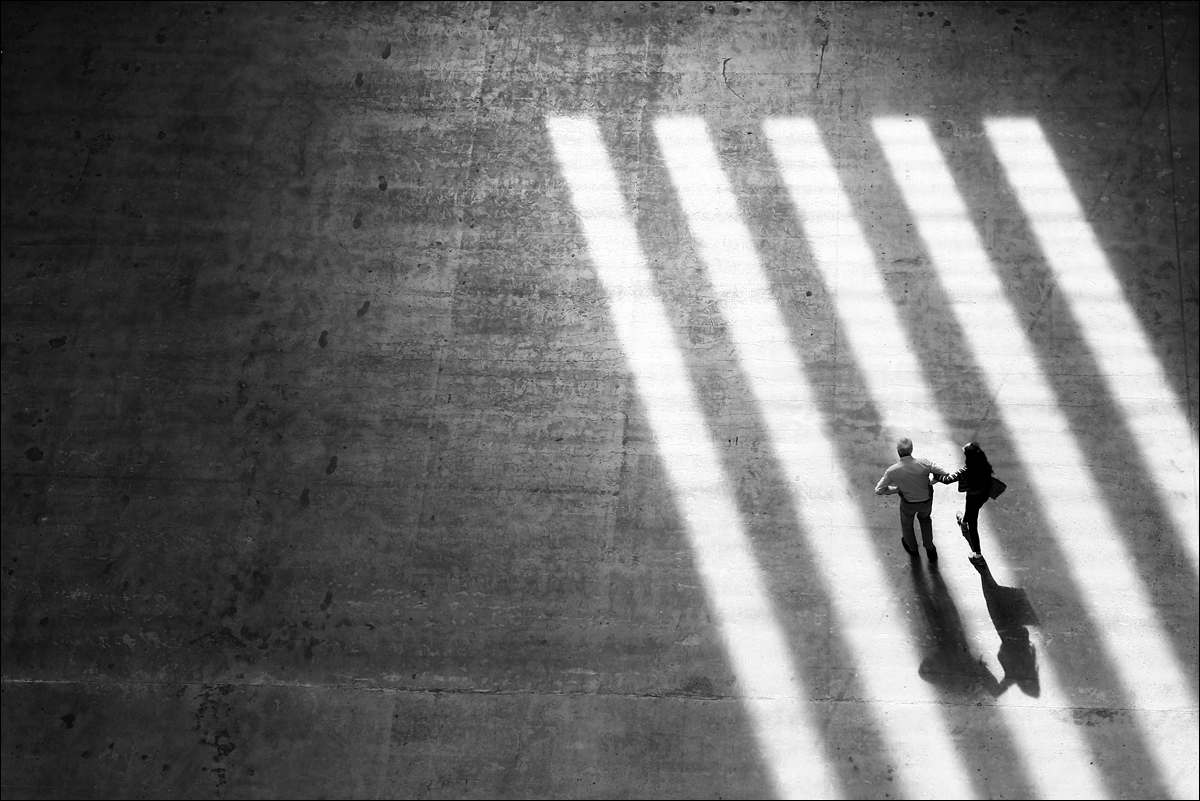 Závěrečná partie