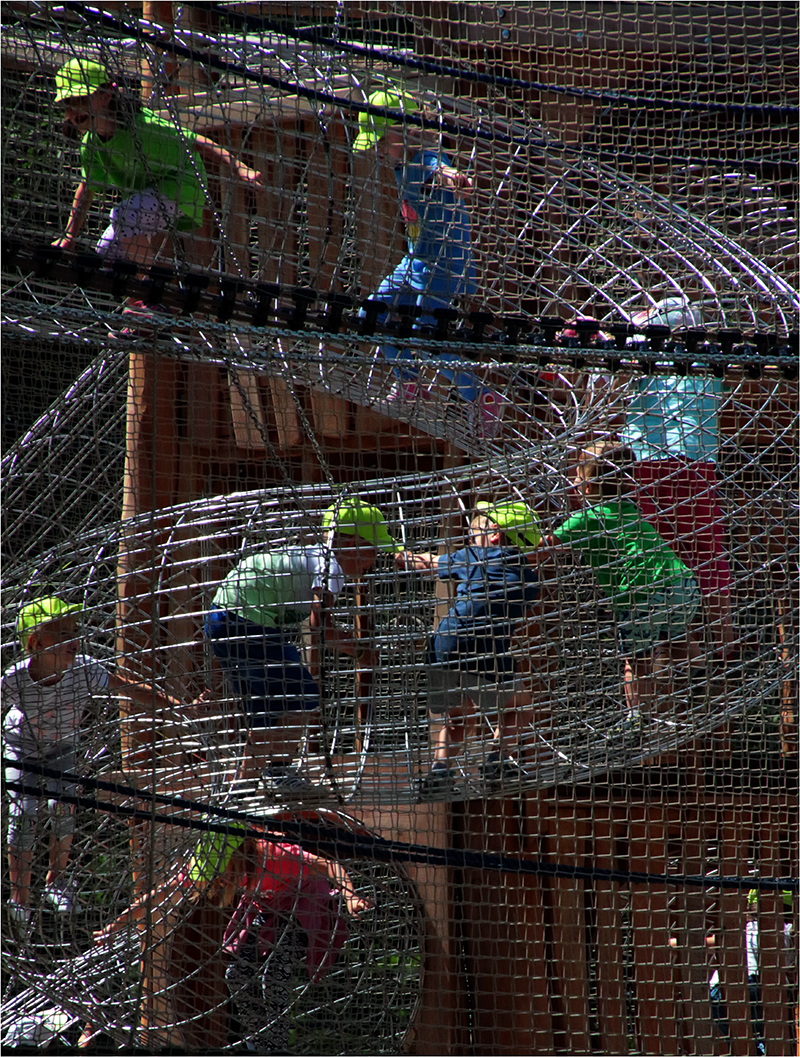 Ve střevech Leviatana