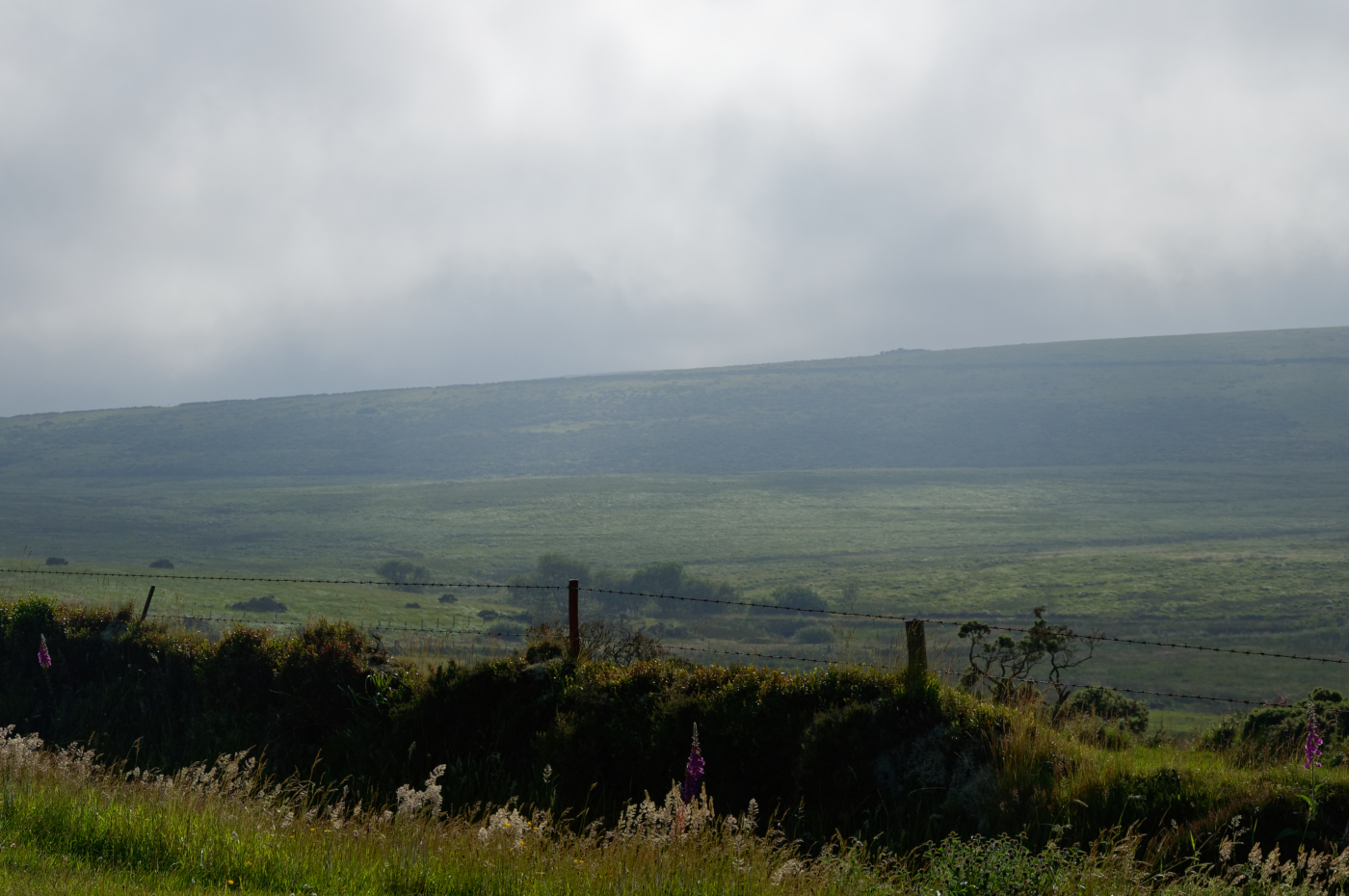 Dartmoor