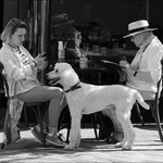 Kavárna, aneb jak to vidím já