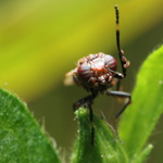 dej si na mně pozor