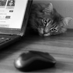 Je to myš, není to myš...