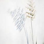 MoML 12. června 2018