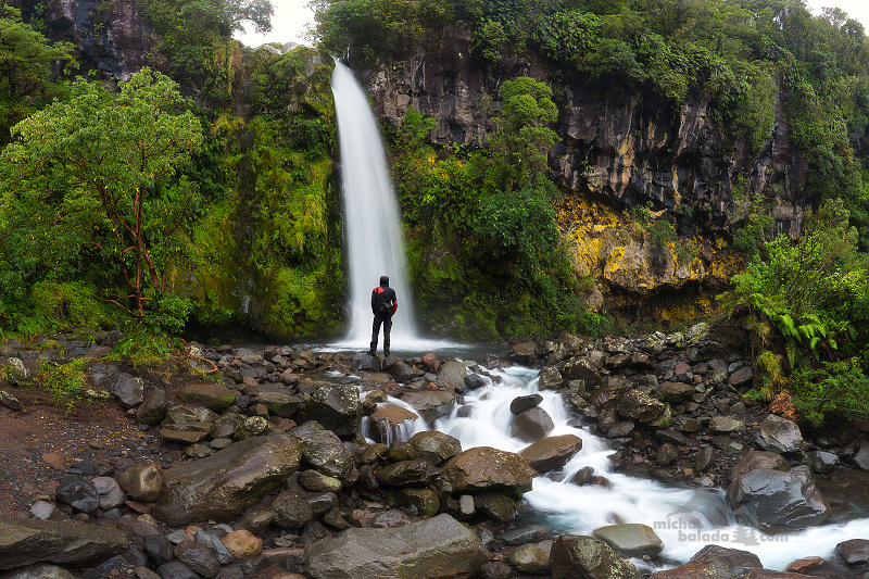 ... NEW ZEALAND ...