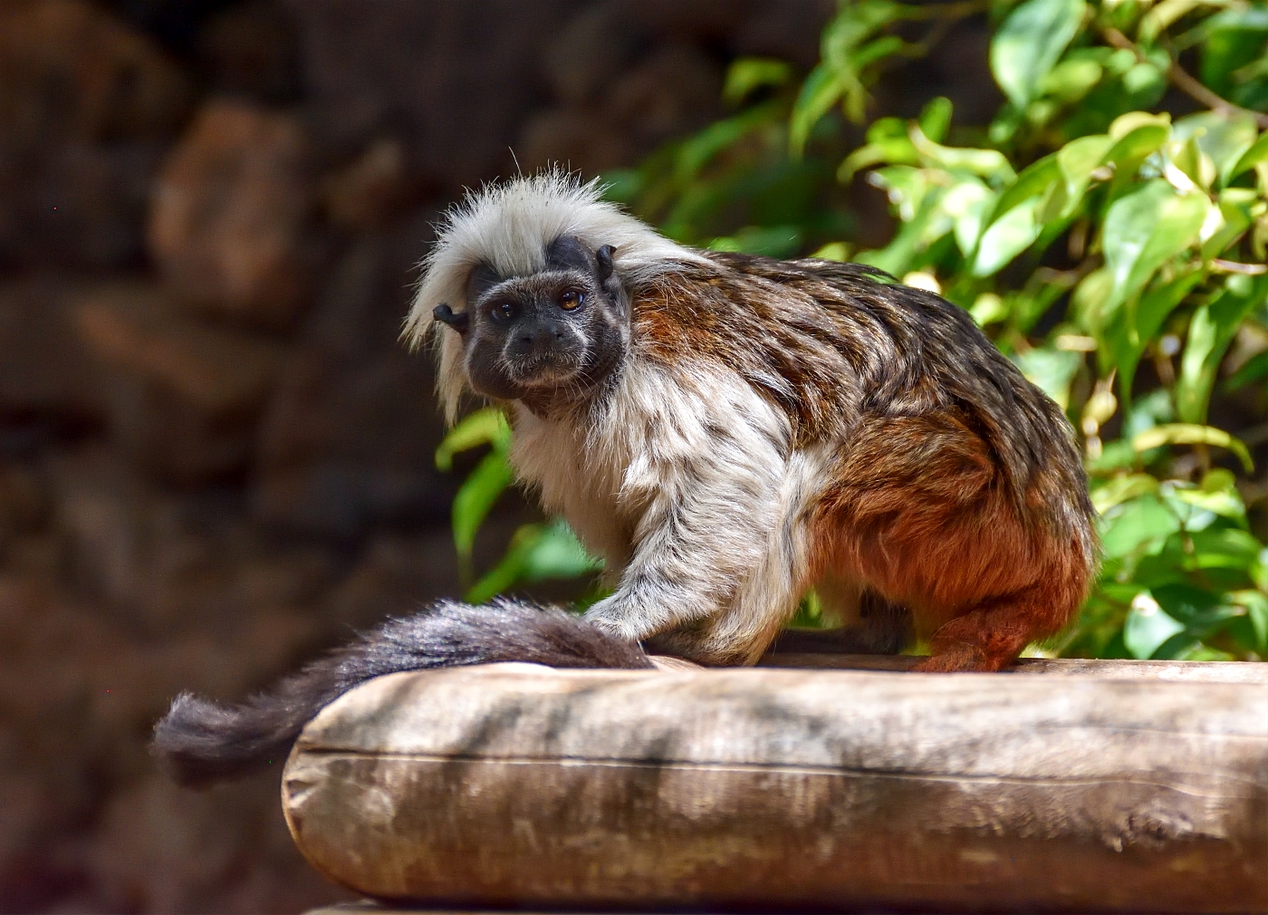 Pohled pro fotografa...