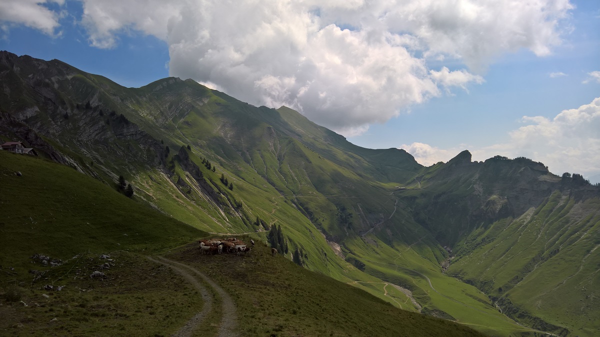 Brienzer Rothorn