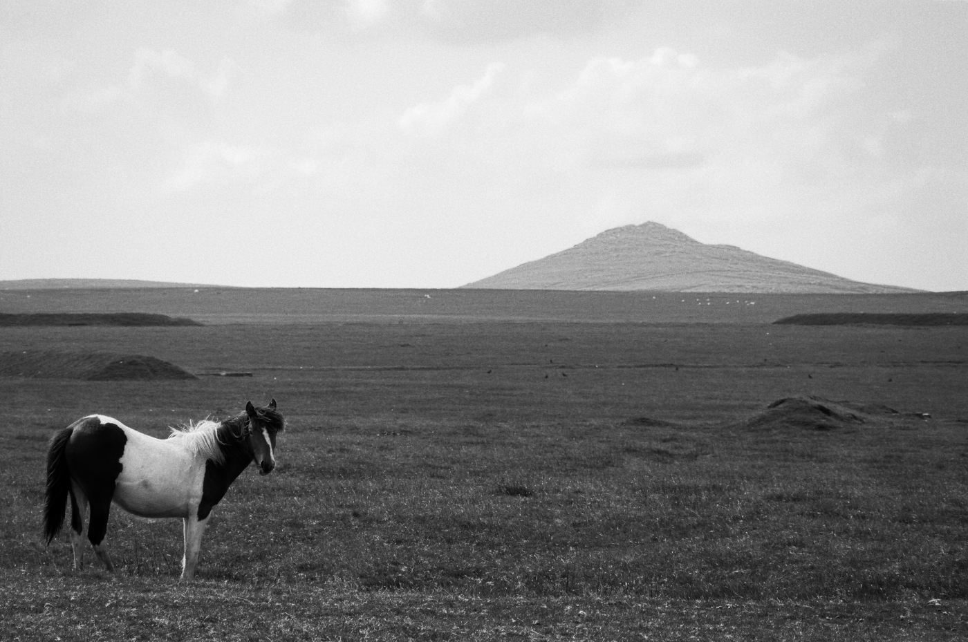 přivítání v Cornwallu