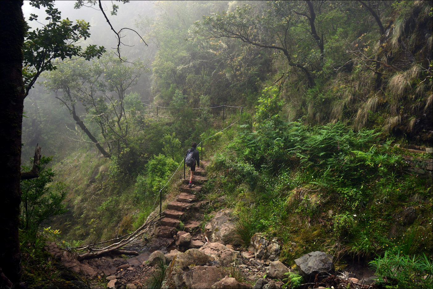 Madeira III