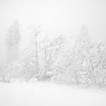 na Černé hoře ...