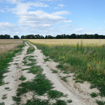 prázdninová krajina ...