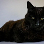 Ještě krok a .....