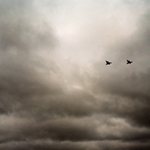 Gripeny