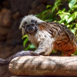 Pohled pro fotografa...