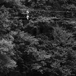 Provazochodcův botník