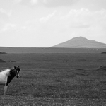 přivítání v Cornwallu