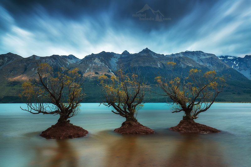... NEW ZEALAND ...