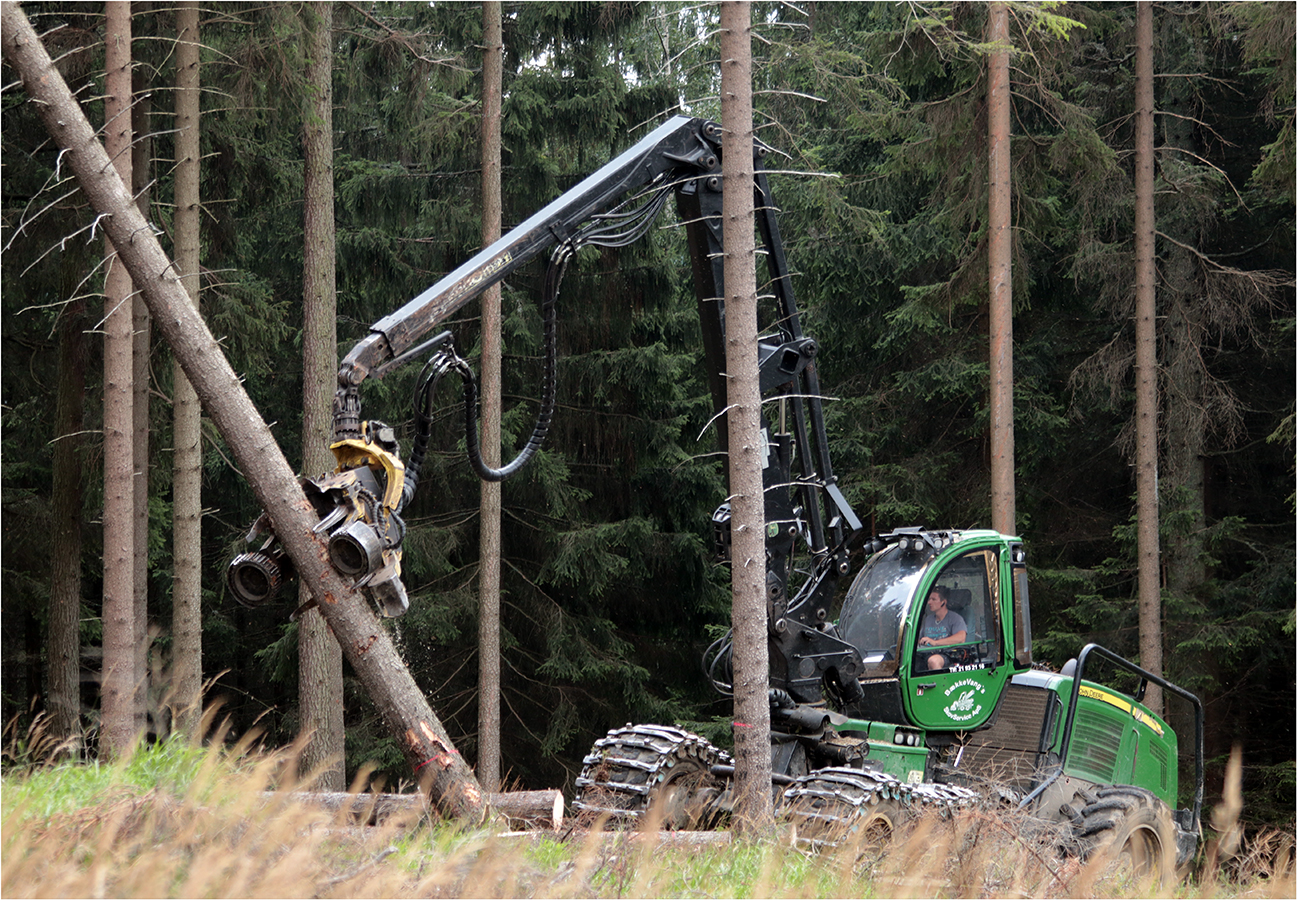 Strojní kat - 65"/strom