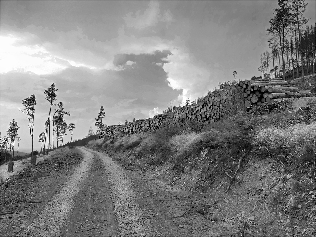 Kolem cesty hromady mrtvol