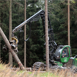 Strojní kat - 65"/strom