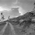 Kolem cesty hromady mrtvol