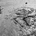 Crackington Haven II