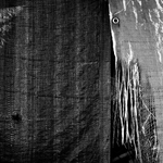 dialog bílého koně se žralokem