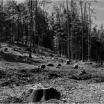 Prohraná bitva? Nebo válka?