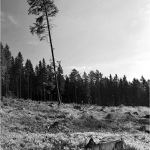  I on to má nahnuté.