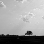 solární