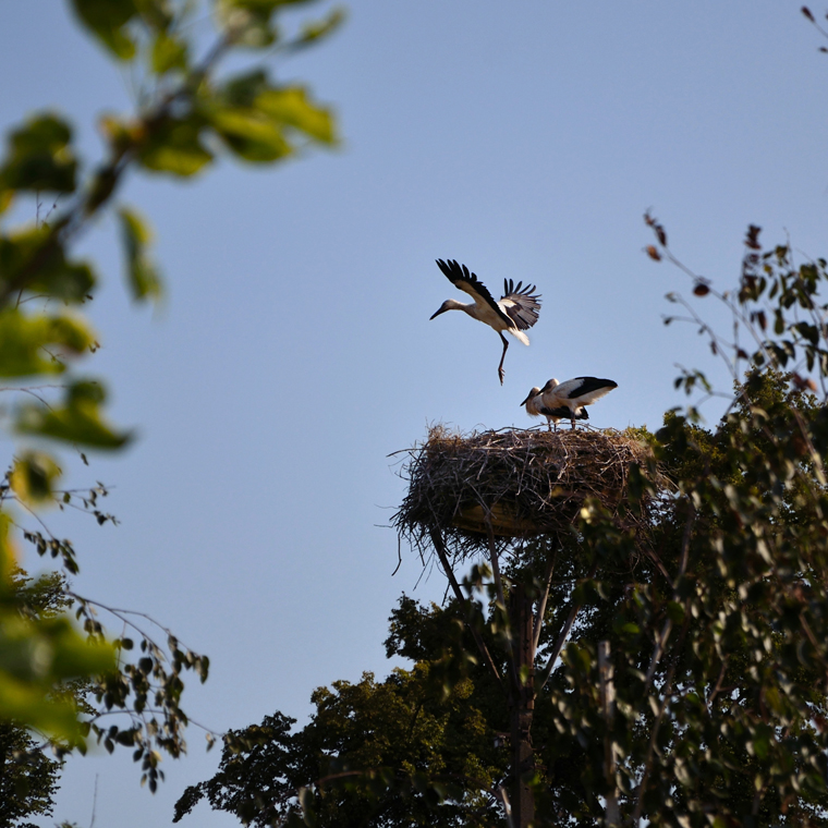 zkouška avioniky ...