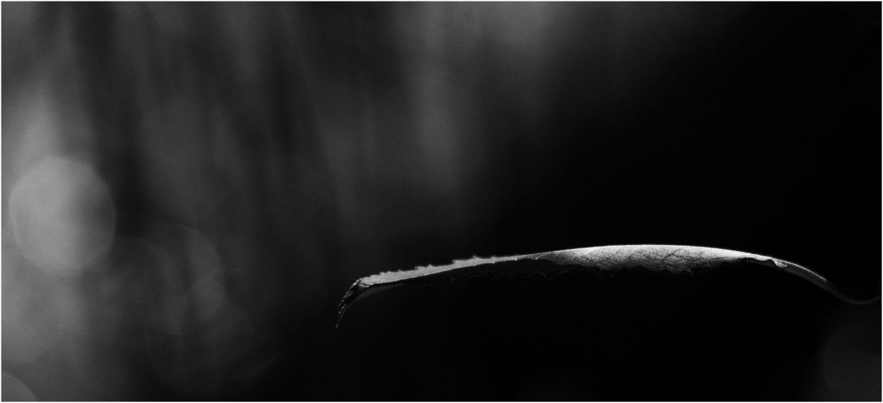 Za polárním kruhem