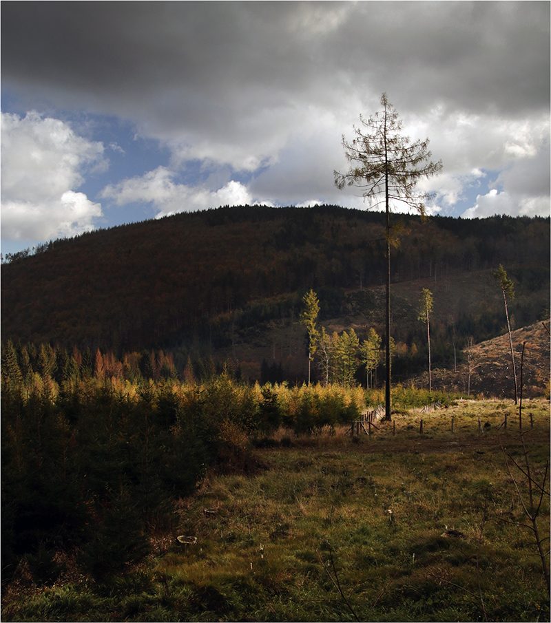 Když úřaduje Božský Osvětlovač... (1)