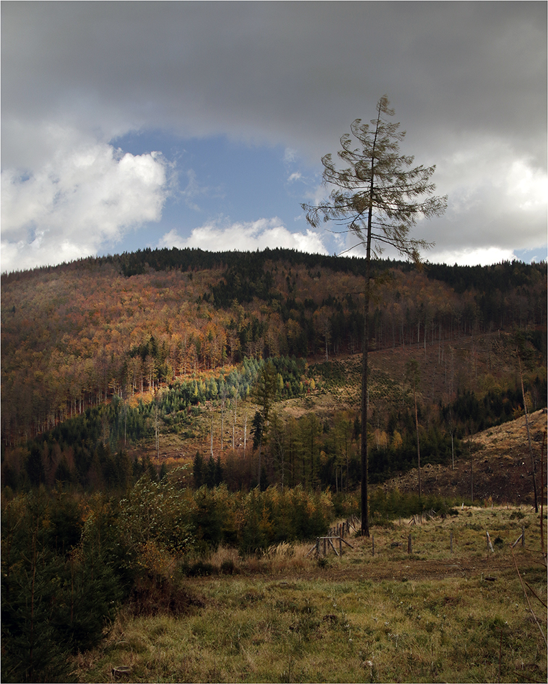 Když zasáhne Božský Osvětlovač... (2)