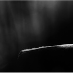 Za polárním kruhem